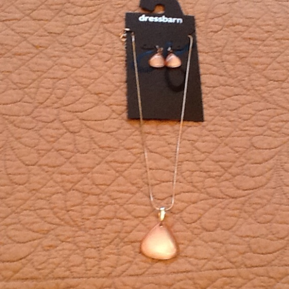 Dressbarn Necklace and earrings NWOT